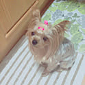 keiko
