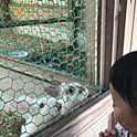 eiko