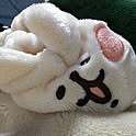 POCHI