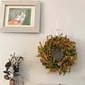 Deco