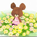 choco