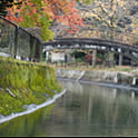 sirokumo5