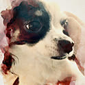 Rie