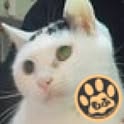 yashinomi