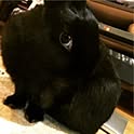 makimo