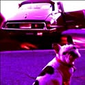 AT_DS