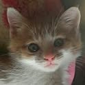 Yuko