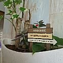 ganbaranai