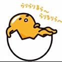 mikapinpin25mikarin
