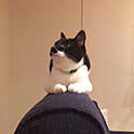 Hideki