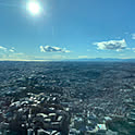 pelecco