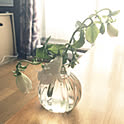 mizbe-