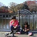 shima-asa