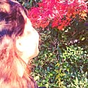 march_honey