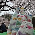 kananaorutako