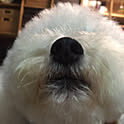 Katsumi