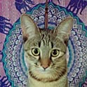 luca