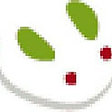 yukiusagi