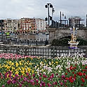 hahia