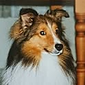 atti