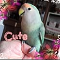 sorachan805103