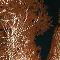 y-tato112127411