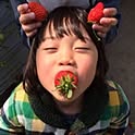 HIRo