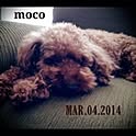 moco