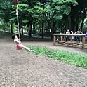 monta