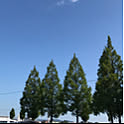 skyuka