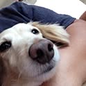 1182