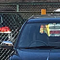 cla