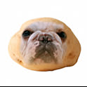 Gamja