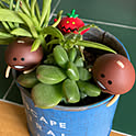 piriko