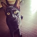 Maru