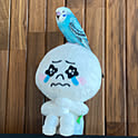 Kumi