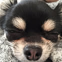 abebebe