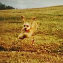 mon