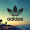 sp_hamy39