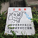 KOHARE