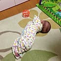 popomichan