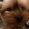 amy
