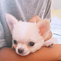 Yuki