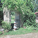 kanoko