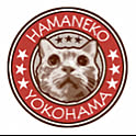 hamaneko