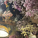 k.yoshizumi