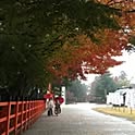 taka
