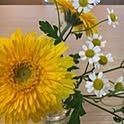 semla_33