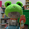 kuyudaisuki