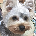 rico.com